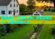 杏吧主播一个月多少钱？体验直播互动，享受独特的社交
