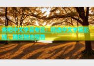 杏吧中文字幕专区：精选中文字幕影视，随时随地观看
