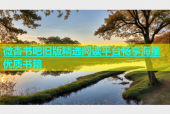 微杏书吧旧版精选阅读平台畅享海量优质书籍