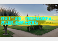 微杏十年杏吧：你的娱乐社交平台，尽享精彩视频和社区互动