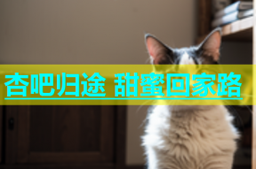 杏吧归途 甜蜜回家路