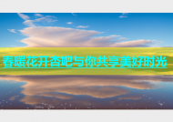 春暖花开杏吧与你共享美好时光