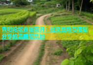杏吧论坛春暖花开：社交互动与信息分享的温暖聚集地