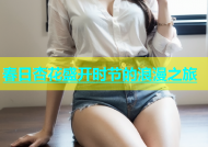 春日杏花盛开时节的浪漫之旅