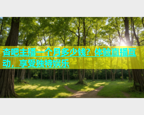 杏吧主播一个月多少钱？体验直播互动，享受独特娱乐  第2张